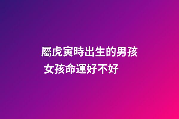 屬虎寅時出生的男孩 女孩命運好不好